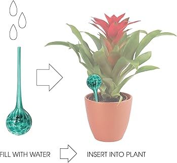 Amazon.com: Wyndham House Plant Watering Globe Set, Set of 3, Indoor &  Outdoor, Colorful Multicolored Hand-Blown Glass for Everyday Use : Patio,  Lawn & Garden